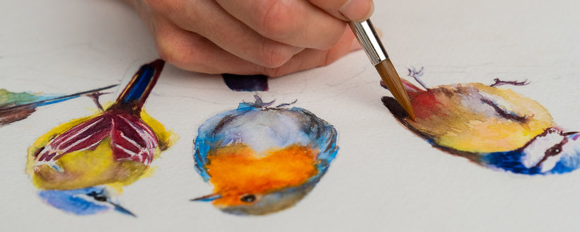 Continentaal Bully omvatten Online cursus - Vogels illustreren met artistieke aquarel (Sarah Stokes) |  Domestika