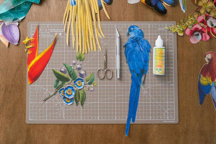 A Colorful parrot from Nature in Quilling Paper Design, an art